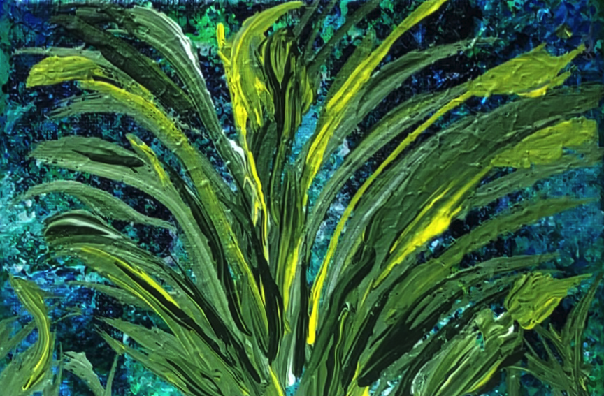 Pampas Grass 01