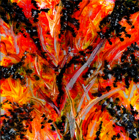 Burnt Rose Bush